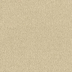 Best Arena Plus In Cool Beige Carpet Hall, Stairs & Landing Carpets | Bedroom Carpets
