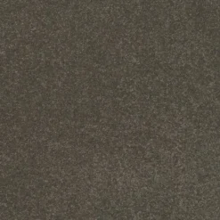 Best Day Dreams In Confident Carpet Hall, Stairs & Landing Carpets | Bedroom Carpets