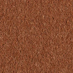 New Kerry in Rooibos Leaves Carpet Living Room Carpets | Hall, Stairs & Landing Carpets