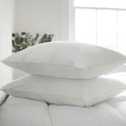 Best Dream Pillow Pair Pillows